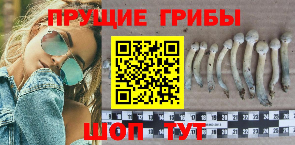 Галлюциногенные грибы GOLDEN TEACHER  Вход с VPN  Котельники 